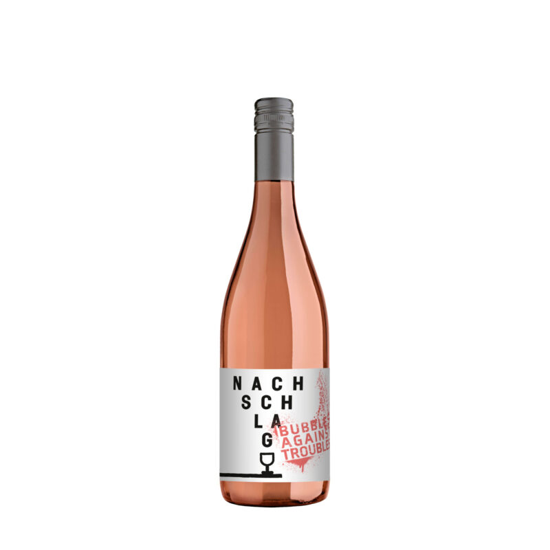 NACHSCHLAG "Pink" - Bubbles against Troubles - 2021