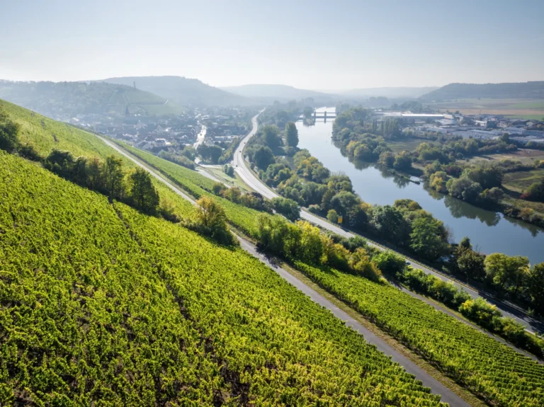 Weinberg Marsberg im Maintal mit Blick auf Randersacker, Felswand und Sonnenstuhl · Rebsorten Scheurebe, Sauvignon und Chardonnay · Stahlweine Marsberg, Felswand, Sonnenstuhl