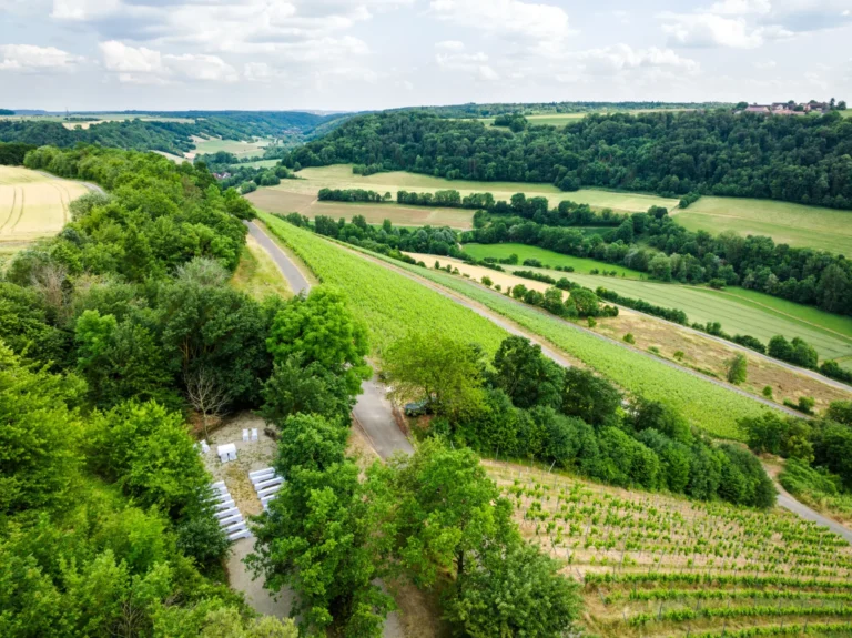 Trauung im Weinberg mit Blick auf das Taubertal nach Rothenburg · Hochzeit Event Location Winzerhof Stahl™ nahe Taubertal zw. Würzburg u. Rothenburg · köstlich speisen, feine Weine, feiern bis zum Morgengrauen