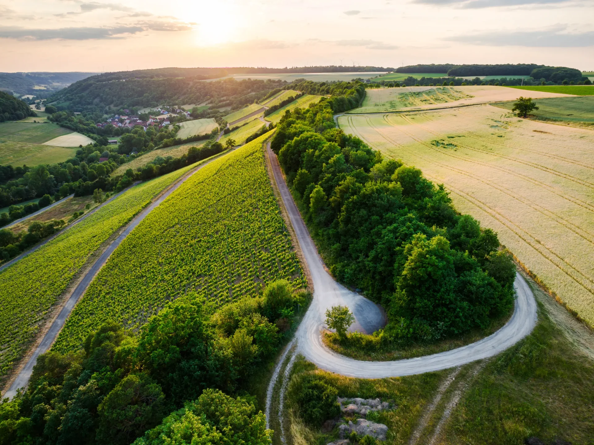 Weinberg Hasennest in Tauberzell · Winzerhof Stahl Auernhofen · Taubertal zwischen Würzburg und Rothenburg o. d. T. · Franken, Bayern