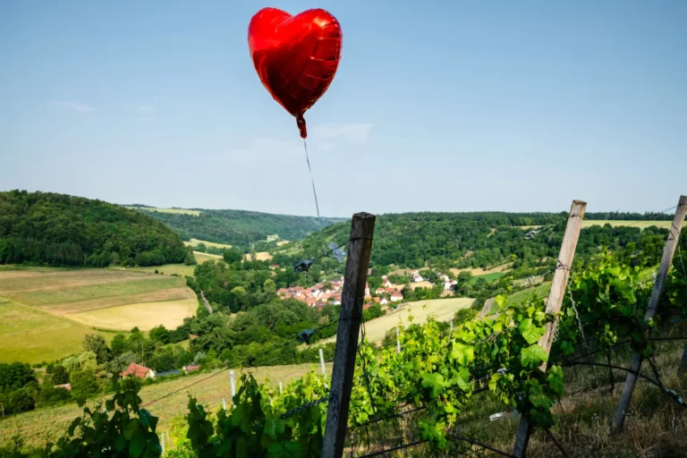 Trauung im Weinberg mit Blick auf das Taubertal nach Tauberzell · Hochzeit Event Location Winzerhof Stahl™ nahe Taubertal zw. Würzburg u. Rothenburg · köstlich speisen, feine Weine, feiern bis zum Morgengrauen