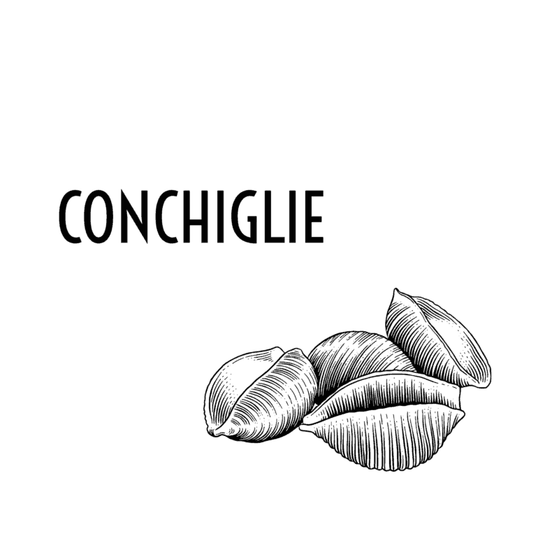 Conchiglie di Bronzo