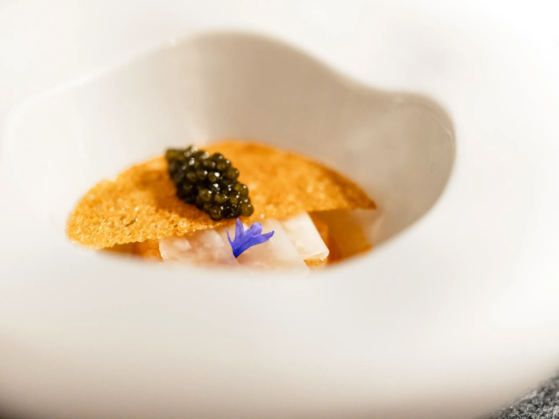 Forelle | Röstbrot | Kaviar im Fine Dining Restaurant Stahl Auernhofen zwischen Würzburg und Rothenburg